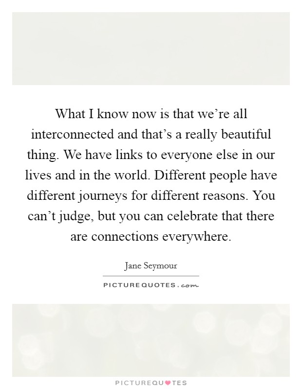 What I know now is that we're all interconnected and that's a really beautiful thing. We have links to everyone else in our lives and in the world. Different people have different journeys for different reasons. You can't judge, but you can celebrate that there are connections everywhere. Picture Quote #1