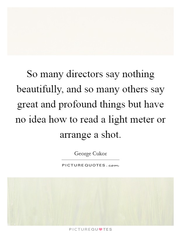 So many directors say nothing beautifully, and so many others say great and profound things but have no idea how to read a light meter or arrange a shot. Picture Quote #1