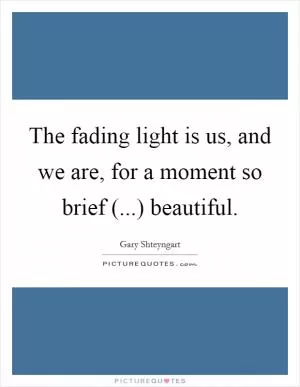 The fading light is us, and we are, for a moment so brief (...) beautiful Picture Quote #1