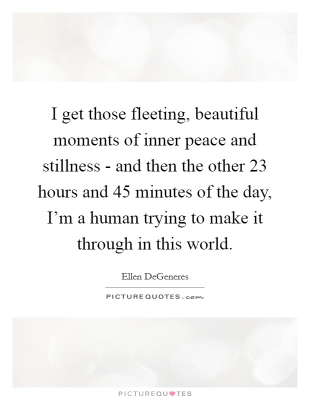 I get those fleeting, beautiful moments of inner peace and stillness - and then the other 23 hours and 45 minutes of the day, I'm a human trying to make it through in this world. Picture Quote #1