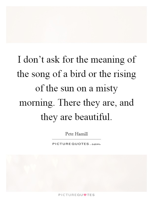 I don't ask for the meaning of the song of a bird or the rising of the sun on a misty morning. There they are, and they are beautiful. Picture Quote #1