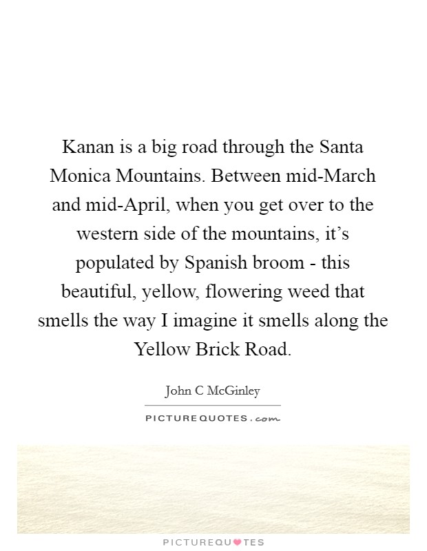 Kanan is a big road through the Santa Monica Mountains. Between mid-March and mid-April, when you get over to the western side of the mountains, it's populated by Spanish broom - this beautiful, yellow, flowering weed that smells the way I imagine it smells along the Yellow Brick Road. Picture Quote #1