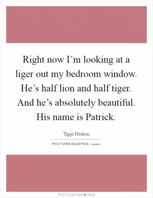 Right now I’m looking at a liger out my bedroom window. He’s half lion and half tiger. And he’s absolutely beautiful. His name is Patrick Picture Quote #1