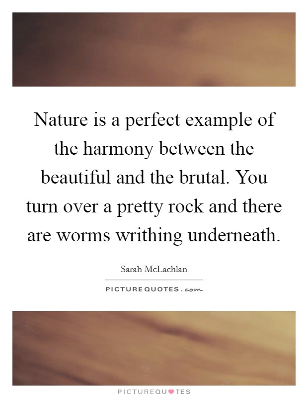 Nature is a perfect example of the harmony between the beautiful and the brutal. You turn over a pretty rock and there are worms writhing underneath. Picture Quote #1