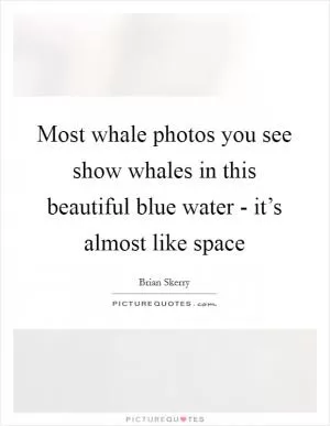 Most whale photos you see show whales in this beautiful blue water - it’s almost like space Picture Quote #1