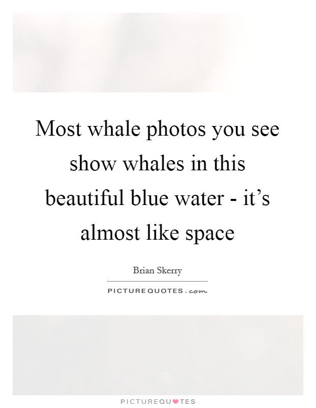 Most whale photos you see show whales in this beautiful blue water - it's almost like space Picture Quote #1