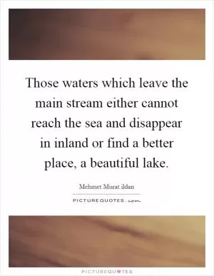 Those waters which leave the main stream either cannot reach the sea and disappear in inland or find a better place, a beautiful lake Picture Quote #1