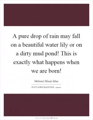 A pure drop of rain may fall on a beautiful water lily or on a dirty mud pond! This is exactly what happens when we are born! Picture Quote #1