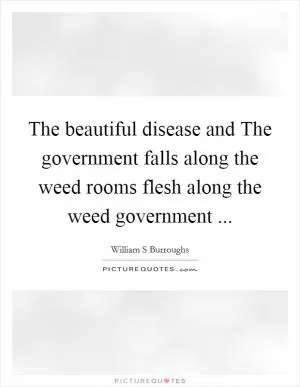 The beautiful disease and The government falls along the weed rooms flesh along the weed government  Picture Quote #1