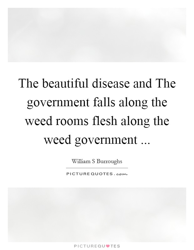 The beautiful disease and The government falls along the weed rooms flesh along the weed government ... Picture Quote #1