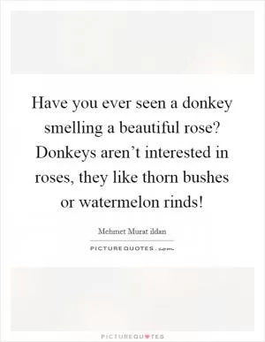 Have you ever seen a donkey smelling a beautiful rose? Donkeys aren’t interested in roses, they like thorn bushes or watermelon rinds! Picture Quote #1
