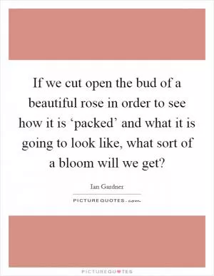 If we cut open the bud of a beautiful rose in order to see how it is ‘packed’ and what it is going to look like, what sort of a bloom will we get? Picture Quote #1