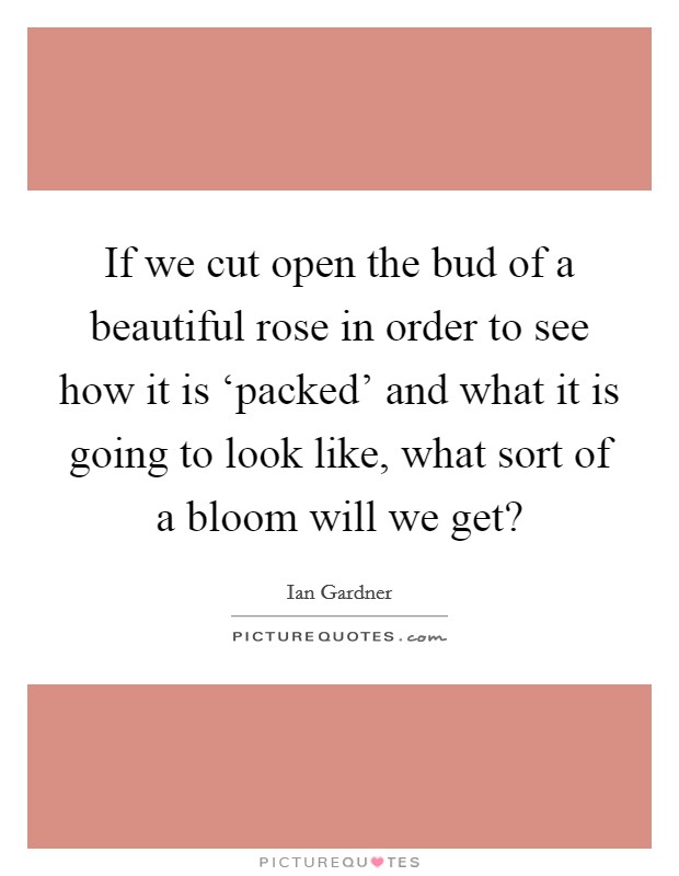 If we cut open the bud of a beautiful rose in order to see how it is ‘packed' and what it is going to look like, what sort of a bloom will we get? Picture Quote #1