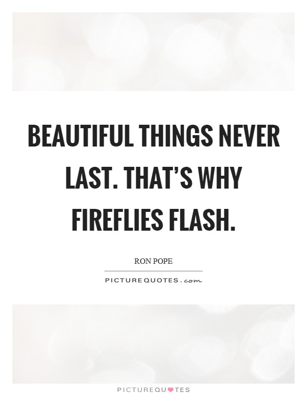 Beautiful things never last. That's why fireflies flash. Picture Quote #1