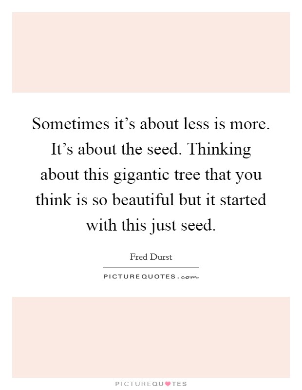 Sometimes it's about less is more. It's about the seed. Thinking about this gigantic tree that you think is so beautiful but it started with this just seed. Picture Quote #1