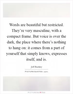 Words are beautiful but restricted. They’re very masculine, with a compact frame. But voice is over the dark, the place where there’s nothing to hang on: it comes from a part of yourself that simply knows, expresses itself, and is Picture Quote #1