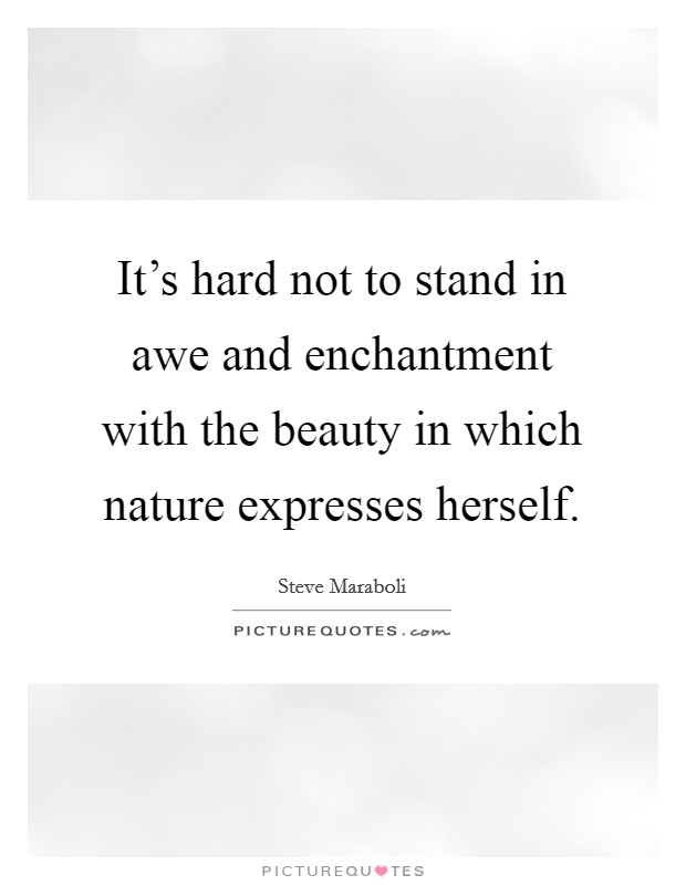 It's hard not to stand in awe and enchantment with the beauty in which nature expresses herself. Picture Quote #1