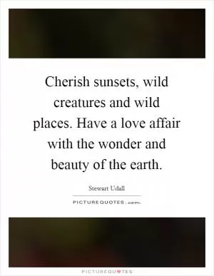 Cherish sunsets, wild creatures and wild places. Have a love affair with the wonder and beauty of the earth Picture Quote #1