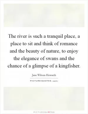 The river is such a tranquil place, a place to sit and think of romance and the beauty of nature, to enjoy the elegance of swans and the chance of a glimpse of a kingfisher Picture Quote #1