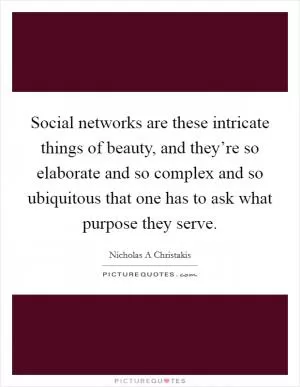 Social networks are these intricate things of beauty, and they’re so elaborate and so complex and so ubiquitous that one has to ask what purpose they serve Picture Quote #1