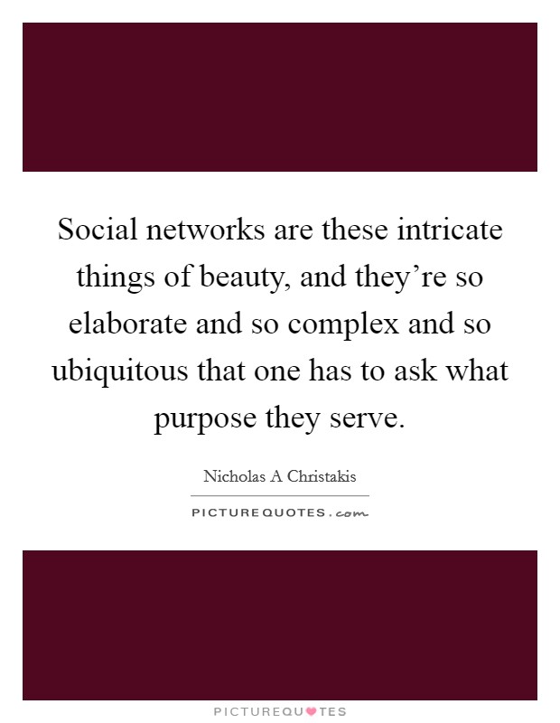 Social networks are these intricate things of beauty, and they're so elaborate and so complex and so ubiquitous that one has to ask what purpose they serve. Picture Quote #1