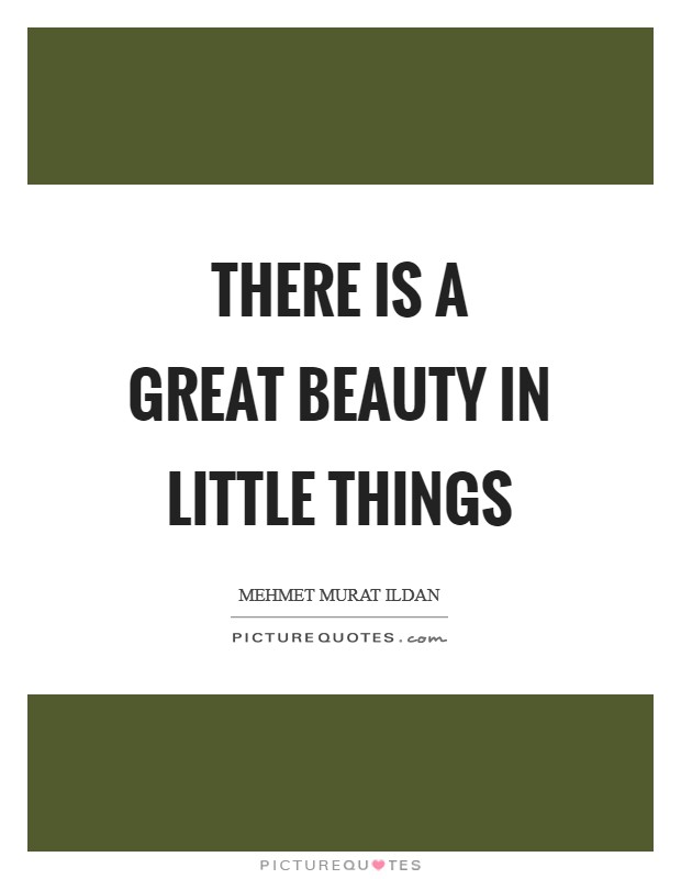 There is a great beauty in little things Picture Quote #1