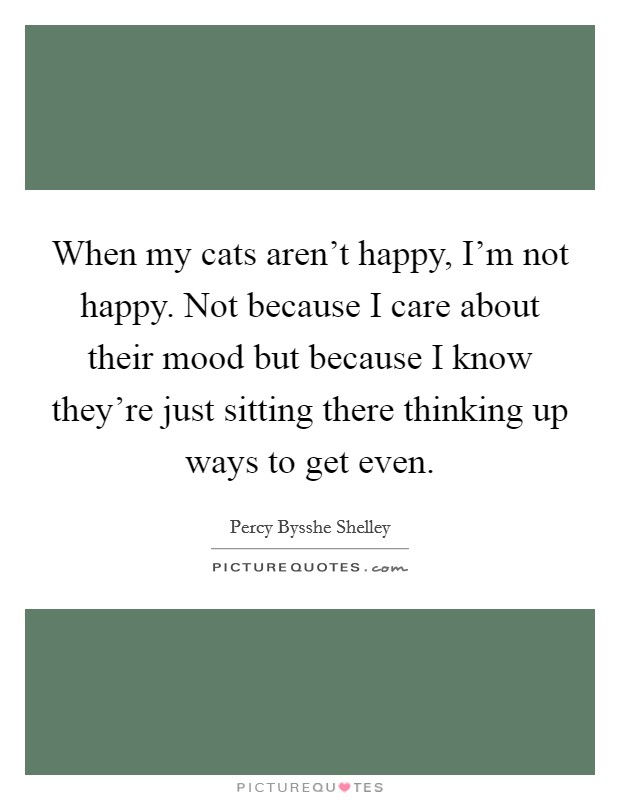 When my cats aren't happy, I'm not happy. Not because I care about their mood but because I know they're just sitting there thinking up ways to get even. Picture Quote #1