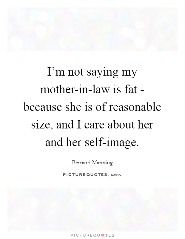 I'm not saying my mother-in-law is fat - because she is of reasonable size, and I care about her and her self-image. Picture Quote #1