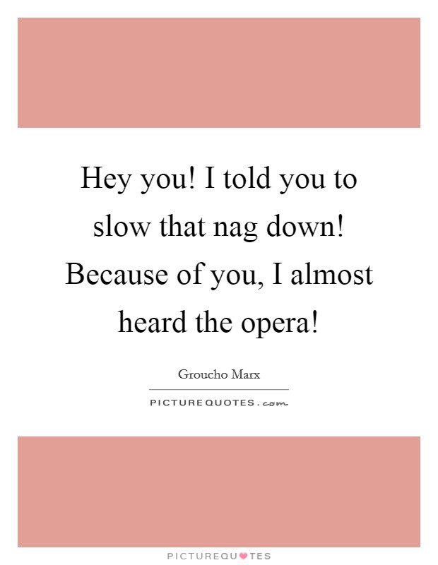 Hey you! I told you to slow that nag down! Because of you, I almost heard the opera! Picture Quote #1