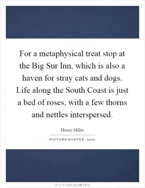 For a metaphysical treat stop at the Big Sur Inn, which is also a haven for stray cats and dogs. Life along the South Coast is just a bed of roses, with a few thorns and nettles interspersed Picture Quote #1