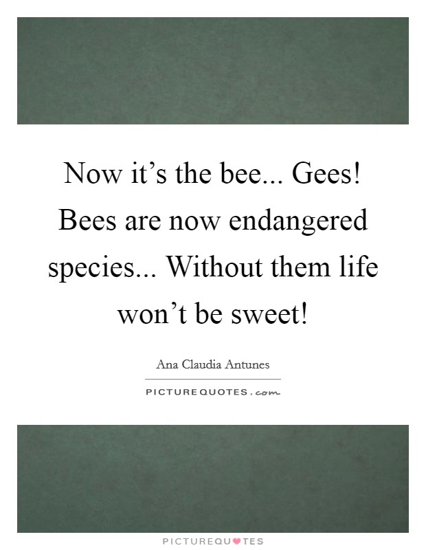 Now it's the bee... Gees! Bees are now endangered species... Without them life won't be sweet! Picture Quote #1