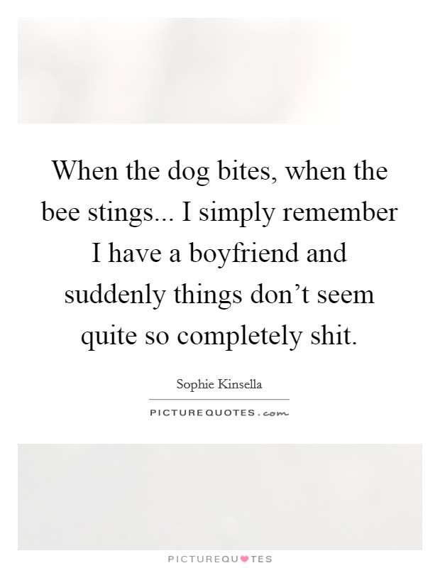 When the dog bites, when the bee stings... I simply remember I have a boyfriend and suddenly things don't seem quite so completely shit. Picture Quote #1
