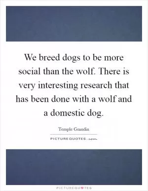 We breed dogs to be more social than the wolf. There is very interesting research that has been done with a wolf and a domestic dog Picture Quote #1