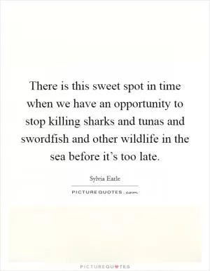 There is this sweet spot in time when we have an opportunity to stop killing sharks and tunas and swordfish and other wildlife in the sea before it’s too late Picture Quote #1