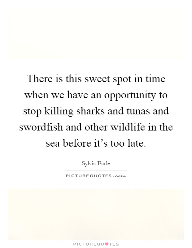 There is this sweet spot in time when we have an opportunity to stop killing sharks and tunas and swordfish and other wildlife in the sea before it's too late. Picture Quote #1