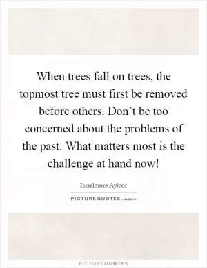 When trees fall on trees, the topmost tree must first be removed before others. Don’t be too concerned about the problems of the past. What matters most is the challenge at hand now! Picture Quote #1