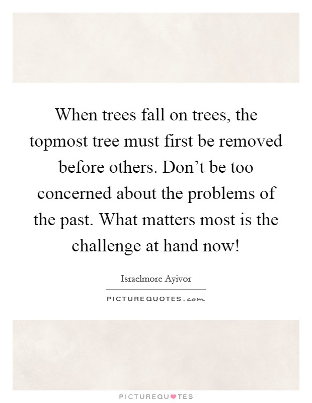 When trees fall on trees, the topmost tree must first be removed before others. Don't be too concerned about the problems of the past. What matters most is the challenge at hand now! Picture Quote #1