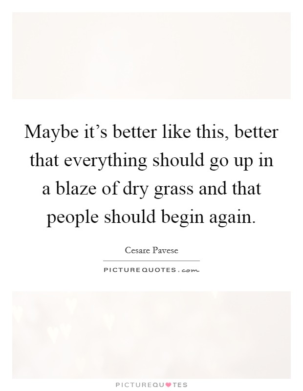 Maybe it's better like this, better that everything should go up in a blaze of dry grass and that people should begin again. Picture Quote #1