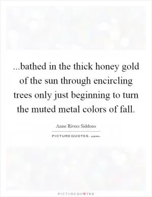 ...bathed in the thick honey gold of the sun through encircling trees only just beginning to turn the muted metal colors of fall Picture Quote #1