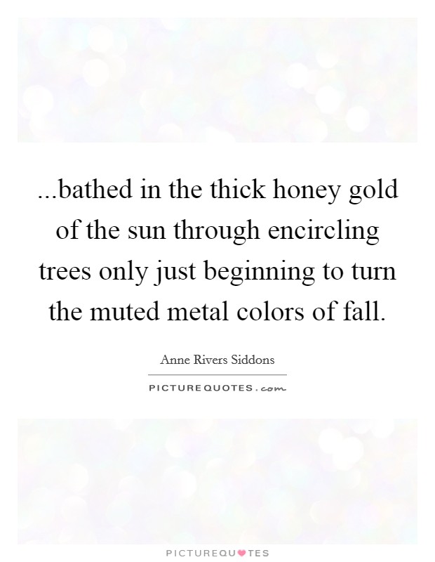 ...bathed in the thick honey gold of the sun through encircling trees only just beginning to turn the muted metal colors of fall. Picture Quote #1