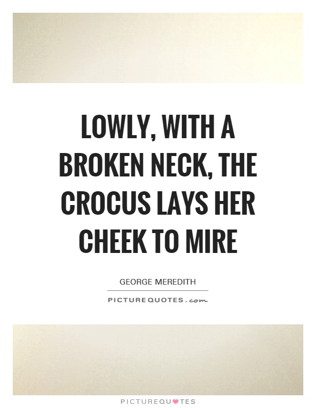 Lowly, with a broken neck, The crocus lays her cheek to mire Picture Quote #1