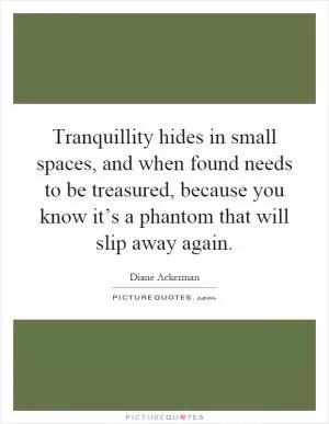 Tranquillity hides in small spaces, and when found needs to be treasured, because you know it’s a phantom that will slip away again Picture Quote #1