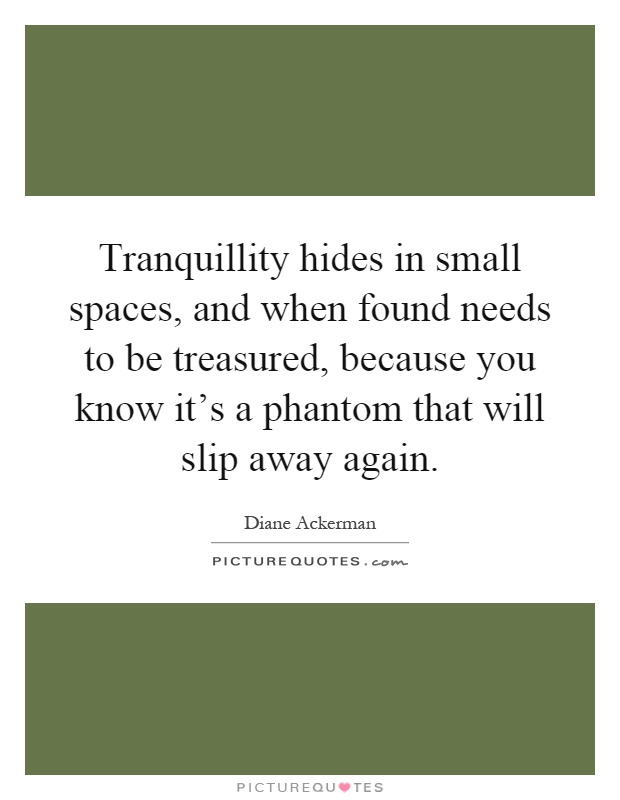 Tranquillity hides in small spaces, and when found needs to be treasured, because you know it's a phantom that will slip away again Picture Quote #1