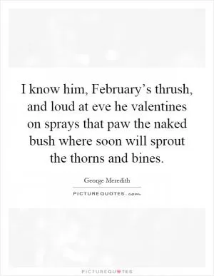 I know him, February’s thrush, and loud at eve he valentines on sprays that paw the naked bush where soon will sprout the thorns and bines Picture Quote #1