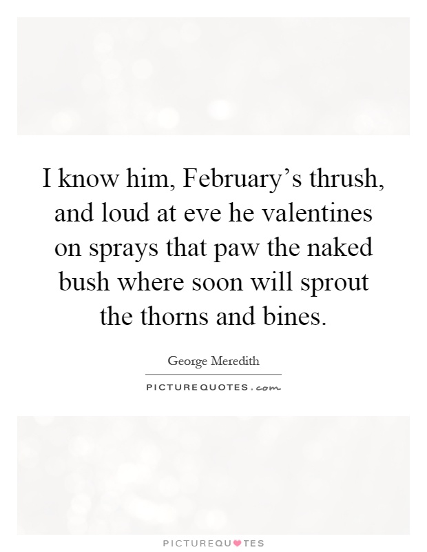 I know him, February's thrush, and loud at eve he valentines on sprays that paw the naked bush where soon will sprout the thorns and bines Picture Quote #1
