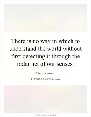 There is no way in which to understand the world without first detecting it through the radar net of our senses Picture Quote #1