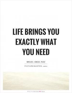 Life brings you exactly what you need Picture Quote #1