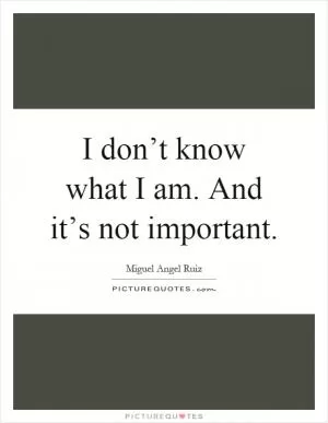 I don’t know what I am. And it’s not important Picture Quote #1