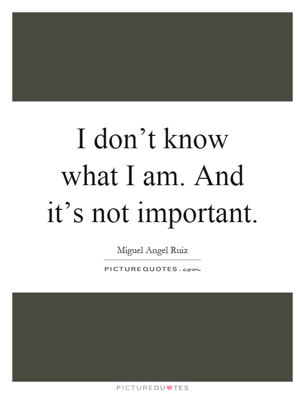 I don't know what I am. And it's not important Picture Quote #1