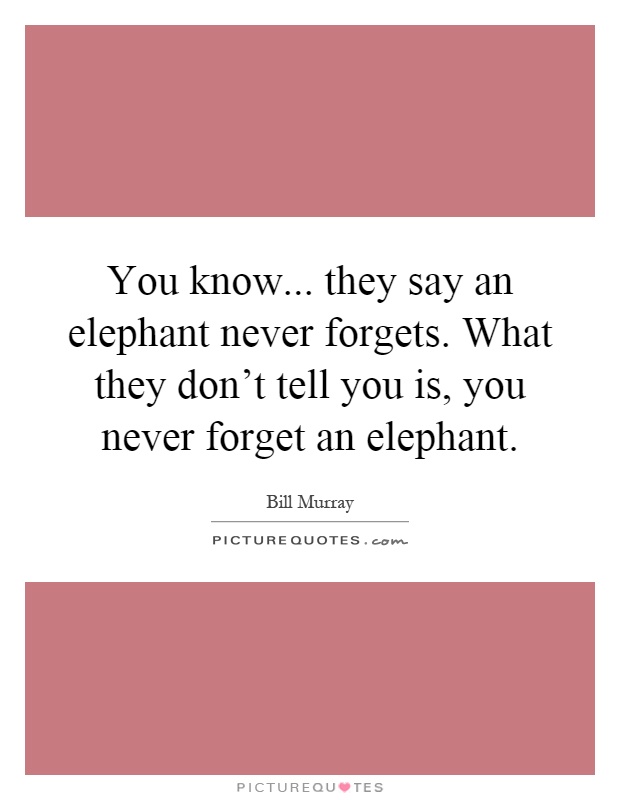 You know... they say an elephant never forgets. What they don't tell you is, you never forget an elephant Picture Quote #1